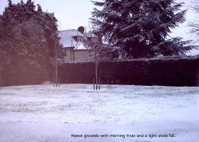 10manor95.jpg