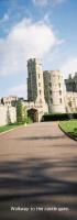 20windsor30.jpg