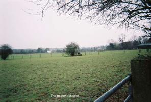 80walk55.jpg