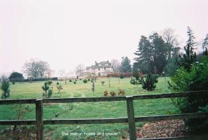 80walk60.jpg