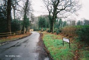 80walk70.jpg