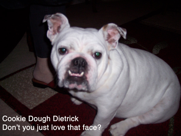 ddcookie