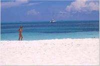 ddbah2007077.jpg