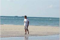 ddbah2007083.jpg