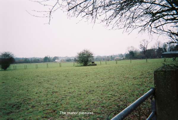 80walk55.jpg