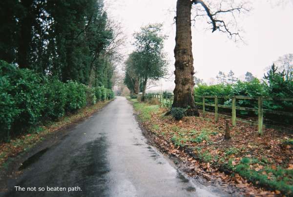 80walk65.jpg
