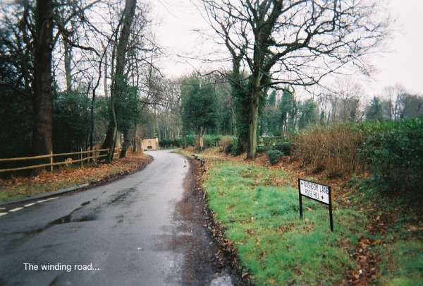 80walk70.jpg