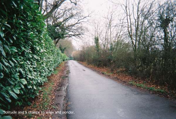 80walk75.jpg