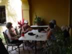 DSC00342.jpg (8kb)
