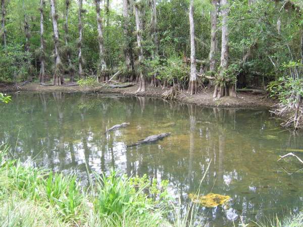 IMG_0547.JPG