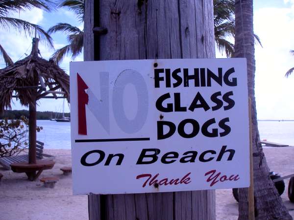 PICT0034.JPG